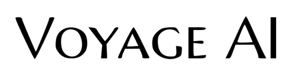 Partner Voyage AI logo